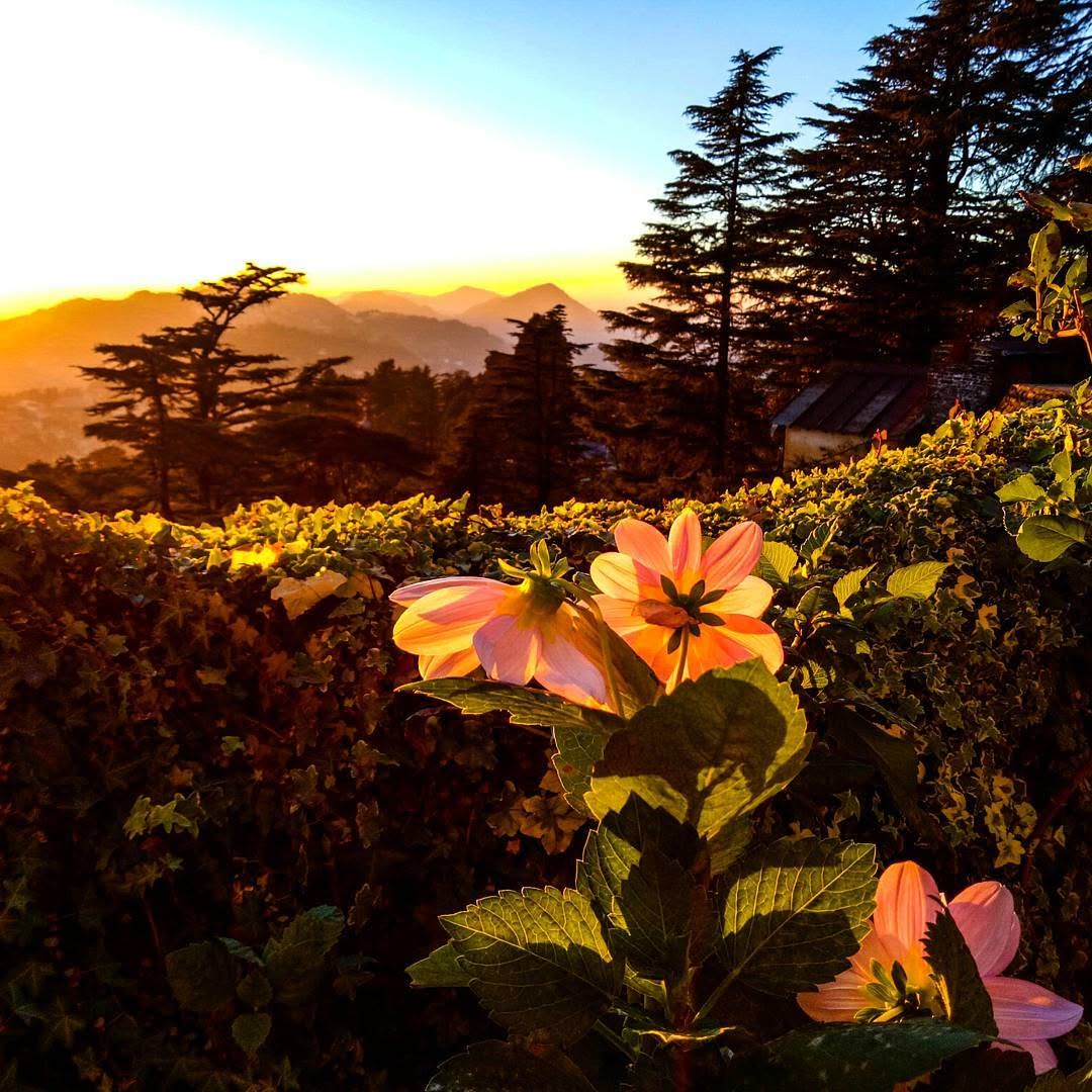 Public Instagram post by ThrillingTravel