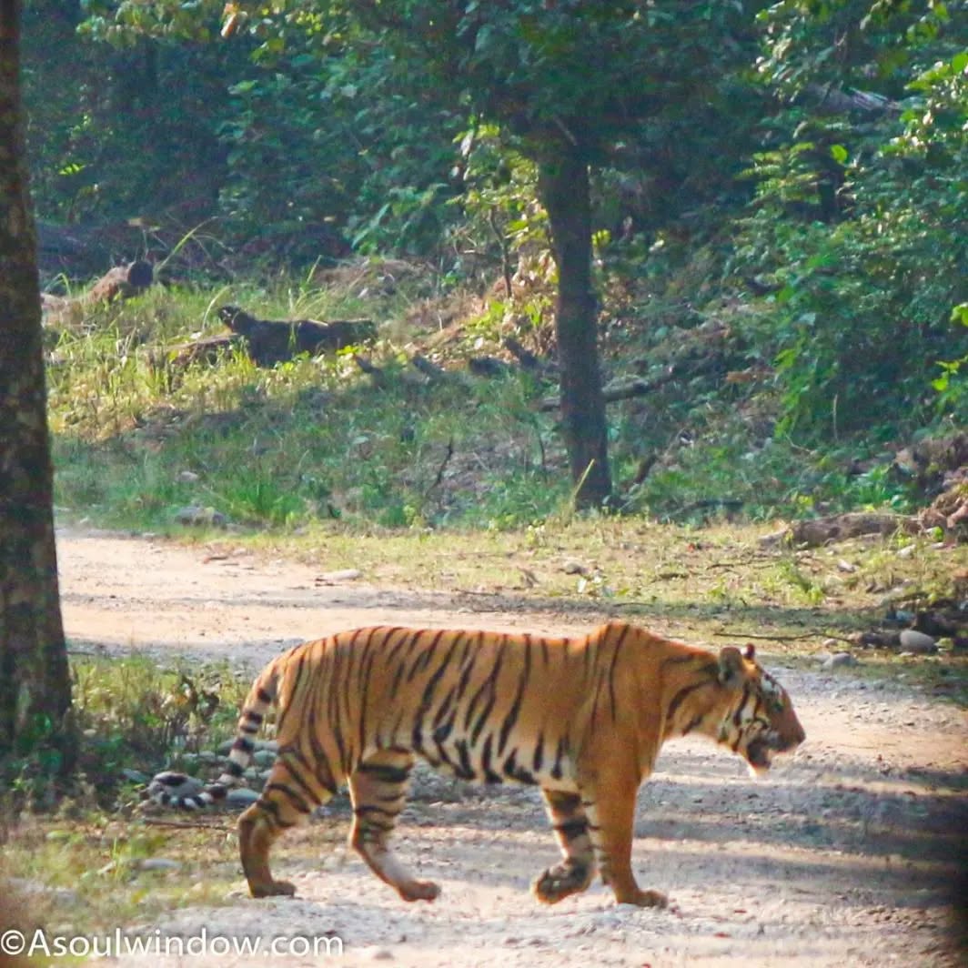 Public Instagram post by Top Travel Blog Abhinav Siingh