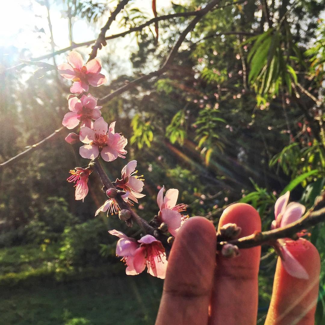 Public Instagram post by Divyakshi Gupta / QuirkyWanderer: Offbeat India Travel
